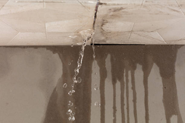 Professional Structural Drying technician working in Ottawa, WV